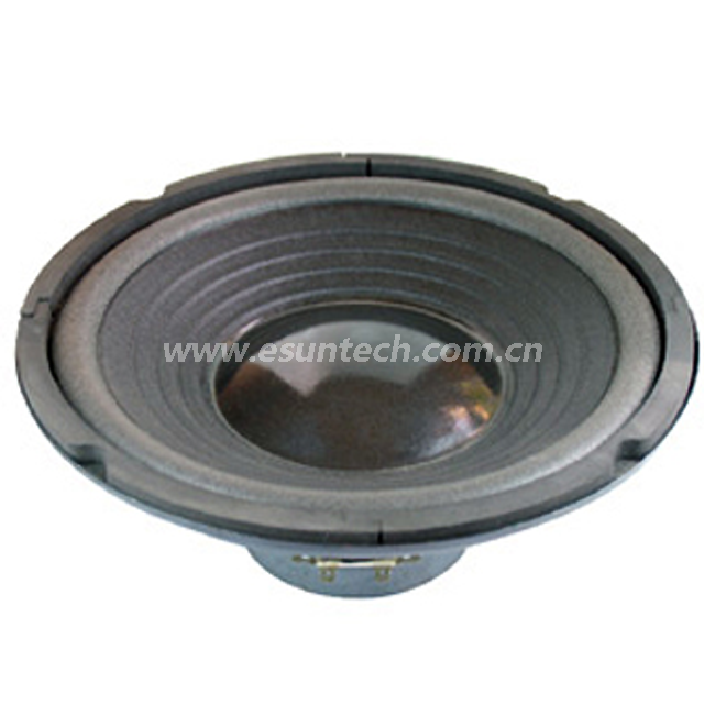 Loudspeaker YD250-01-6.5F100U 10 Inch Paper Cone Bass Speaker Drivers, High Quality Woofer for Sale - ESUTECH